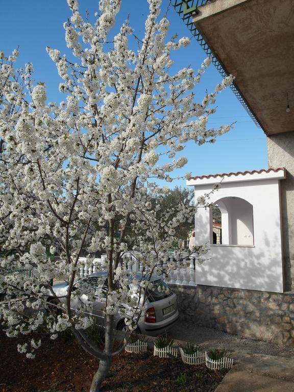 Apartment Antonio Шибеник Екстер'єр фото